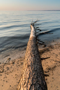 Estland, Ostseeinsel Hiiumaa, Tareste, Törvanina-Naturstrand im Morgenlicht, Treibgut Estland, Ostseeinsel Hiiumaa, Tareste, Törvanina-Naturstrand im Morgenlicht, Treibgut